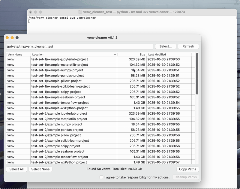 venv cleaner使用例